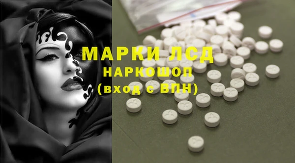 прущие грибы Сясьстрой