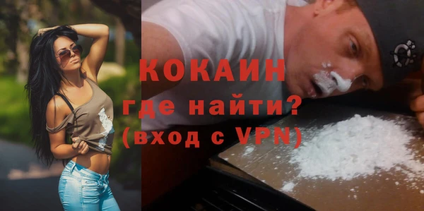 соль ск Алексин