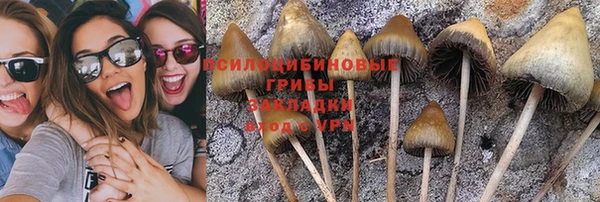 соль ск Алексин